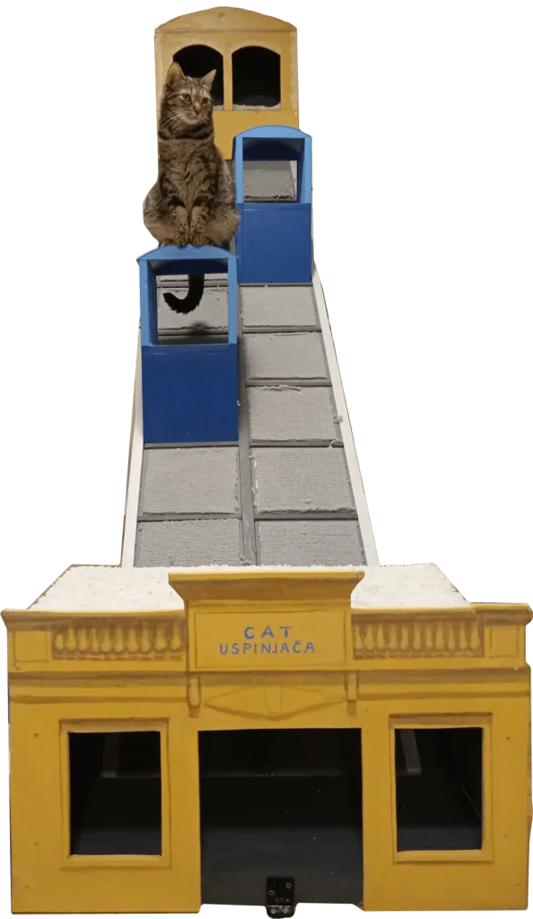 Cat Uspinjača